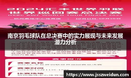 南京羽毛球队在总决赛中的实力展现与未来发展潜力分析
